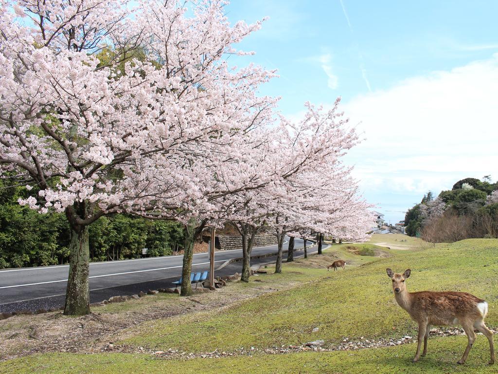 มิยาจิม่า ซีไซด์ โฮเต็ล Hotel Itsukushima ภายนอก รูปภาพ