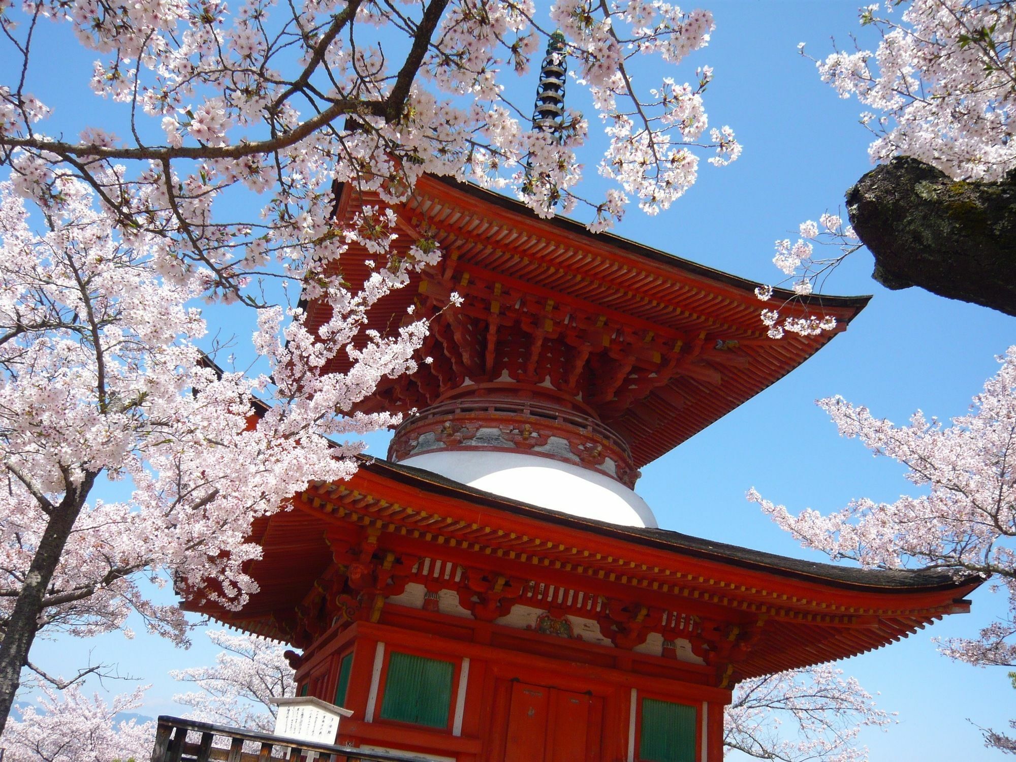 มิยาจิม่า ซีไซด์ โฮเต็ล Hotel Itsukushima ภายนอก รูปภาพ