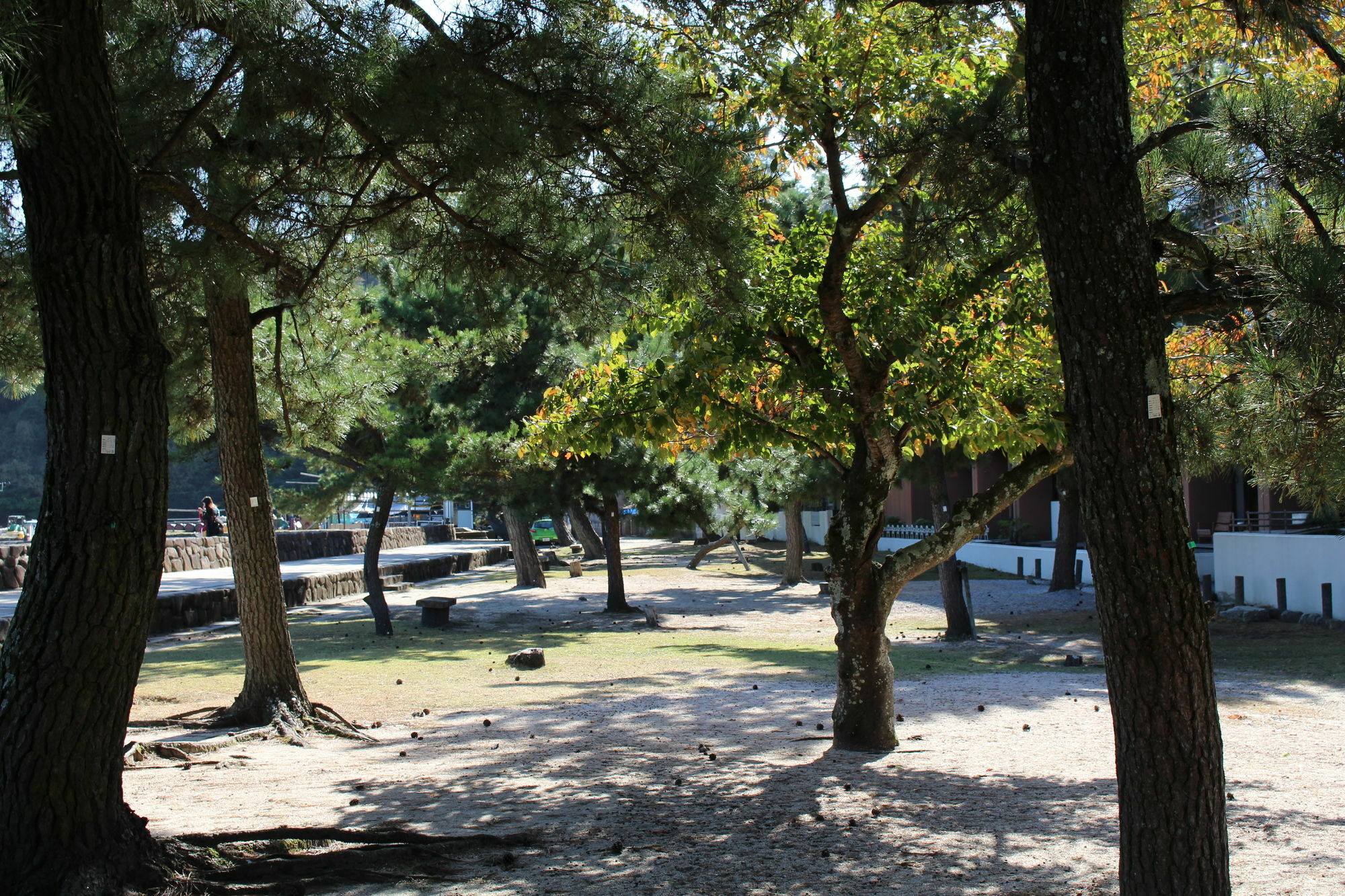 มิยาจิม่า ซีไซด์ โฮเต็ล Hotel Itsukushima ภายนอก รูปภาพ